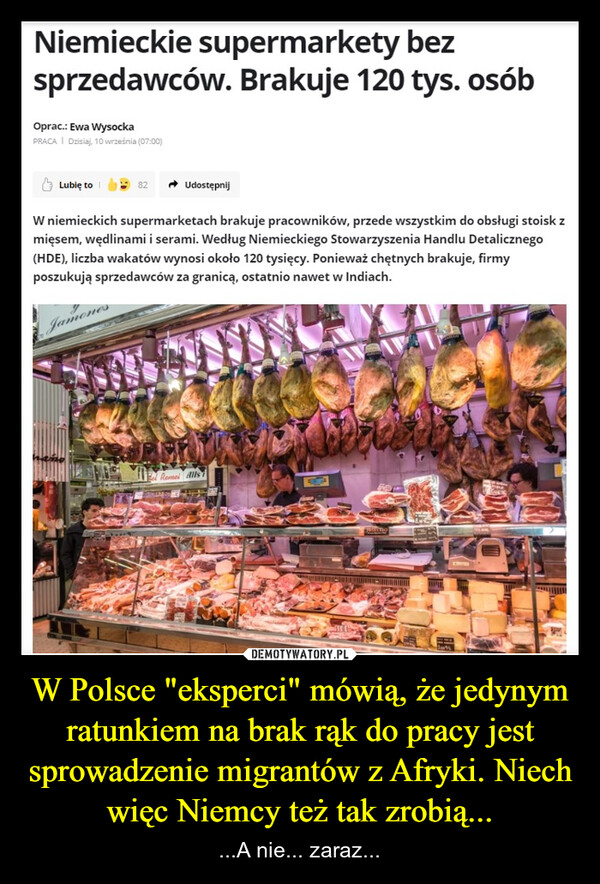 W Polsce "eksperci" mówią, że jedynym ratunkiem na brak rąk do pracy jest sprowadzenie migrantów z Afryki. Niech więc Niemcy też tak zrobią... – ...A nie... zaraz... Niemieckie supermarkety bezsprzedawców. Brakuje 120 tys. osóbOprac.: Ewa WysockaPRACA | Dzisiaj, 10 września (07:00)Lubię to82UdostępnijW niemieckich supermarketach brakuje pracowników, przede wszystkim do obsługi stoisk zmięsem, wędlinami i serami. Według Niemieckiego Stowarzyszenia Handlu Detalicznego(HDE), liczba wakatów wynosi około 120 tysięcy. Ponieważ chętnych brakuje, firmyposzukują sprzedawców za granicą, ostatnio nawet w Indiach.JamonesRemei Alls