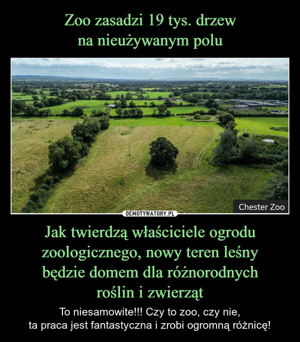 Jak twierdzą właściciele ogrodu zoologicznego, nowy teren leśnybędzie domem dla różnorodnychroślin i zwierząt – To niesamowite!!! Czy to zoo, czy nie,ta praca jest fantastyczna i zrobi ogromną różnicę! Chester Zoo