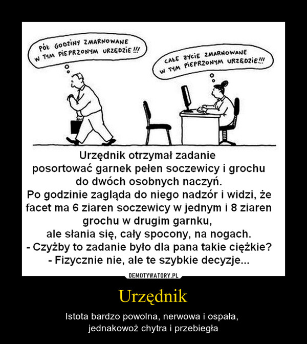 Urzędnik – Istota bardzo powolna, nerwowa i ospała, jednakowoż chytra i przebiegła Urzędnik otrzymał zadanieposortować garnek pełen soczewicy i grochudo dwóch osobnych naczyń.Po godzinie zagląda do niego nadzór i widzi, żefacet ma 6 ziaren soczewicy w jednym i 8 ziarengrochu w drugim garnku,ale słania się, cały spocony, na nogach.- Czyżby to zadanie było dla pana takie ciężkie?- Fizycznie nie, ale te szybkie decyzje...