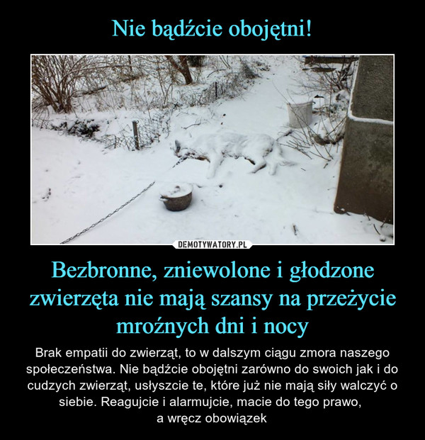 Bezbronne, zniewolone i głodzone zwierzęta nie mają szansy na przeżycie mroźnych dni i nocy – Brak empatii do zwierząt, to w dalszym ciągu zmora naszego społeczeństwa. Nie bądźcie obojętni zarówno do swoich jak i do cudzych zwierząt, usłyszcie te, które już nie mają siły walczyć o siebie. Reagujcie i alarmujcie, macie do tego prawo, a wręcz obowiązek 