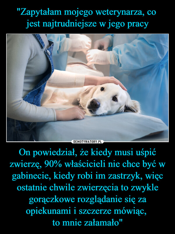 On powiedział, że kiedy musi uśpić zwierzę, 90% właścicieli nie chce być w gabinecie, kiedy robi im zastrzyk, więc ostatnie chwile zwierzęcia to zwykle gorączkowe rozglądanie się za opiekunami i szczerze mówiąc, to mnie załamało" –  