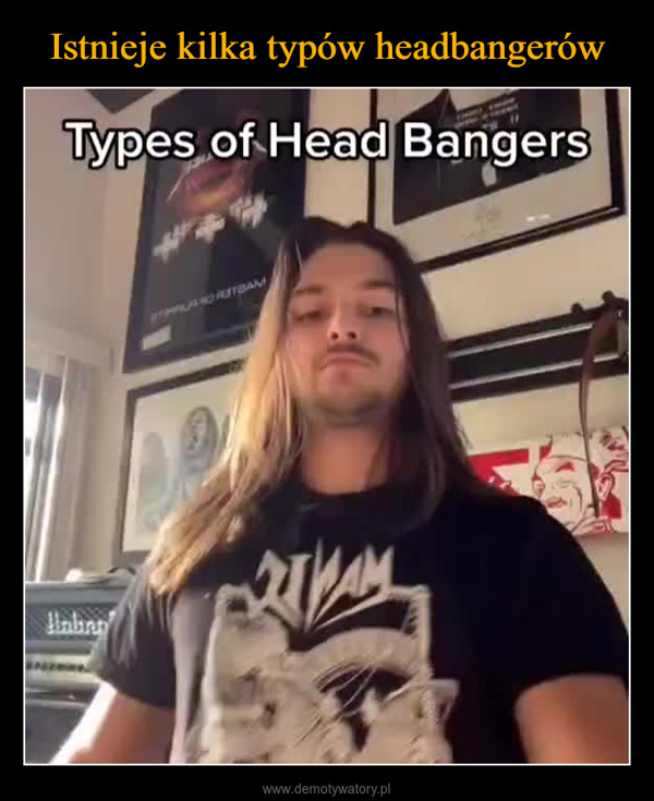  –  Types of Head BangersHalin