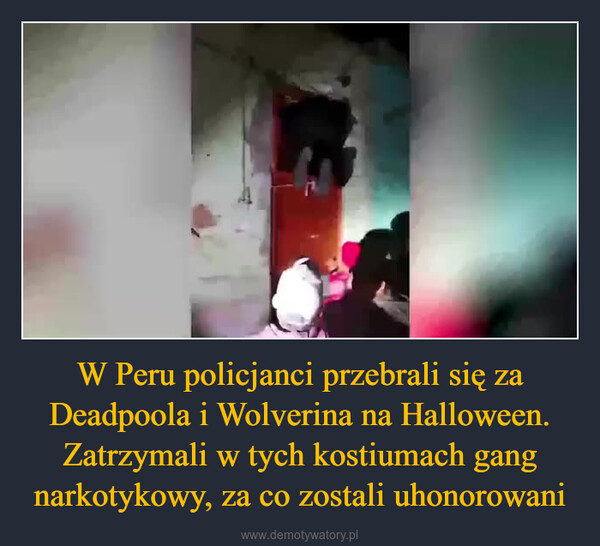 W Peru policjanci przebrali się za Deadpoola i Wolverina na Halloween. Zatrzymali w tych kostiumach gang narkotykowy, za co zostali uhonorowani –  