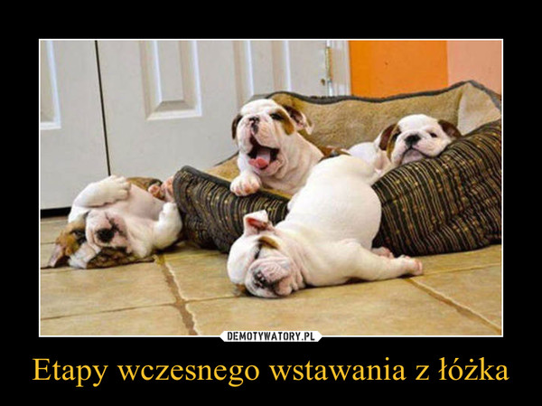 Etapy wczesnego wstawania z łóżka –  