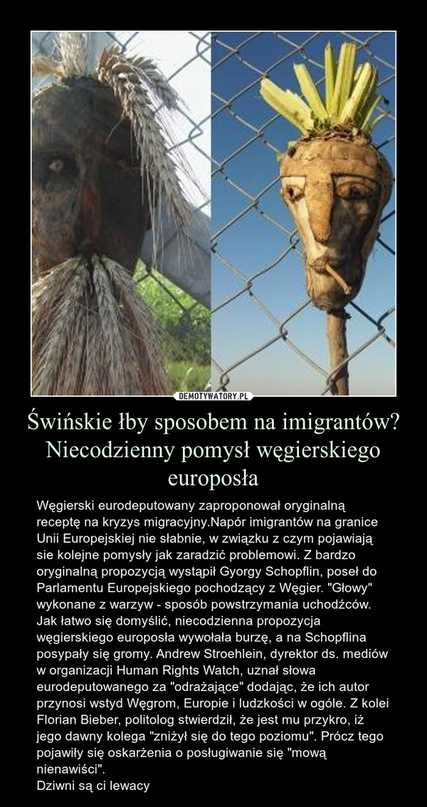 Świńskie łby sposobem na imigrantów? Niecodzienny pomysł węgierskiego europosła – Węgierski eurodeputowany zaproponował oryginalną receptę na kryzys migracyjny.Napór imigrantów na granice Unii Europejskiej nie słabnie, w związku z czym pojawiają sie kolejne pomysły jak zaradzić problemowi. Z bardzo oryginalną propozycją wystąpił Gyorgy Schopflin, poseł do Parlamentu Europejskiego pochodzący z Węgier. "Głowy" wykonane z warzyw - sposób powstrzymania uchodźców. Jak łatwo się domyślić, niecodzienna propozycja węgierskiego europosła wywołała burzę, a na Schopflina posypały się gromy. Andrew Stroehlein, dyrektor ds. mediów w organizacji Human Rights Watch, uznał słowa eurodeputowanego za "odrażające" dodając, że ich autor przynosi wstyd Węgrom, Europie i ludzkości w ogóle. Z kolei Florian Bieber, politolog stwierdził, że jest mu przykro, iż jego dawny kolega "zniżył się do tego poziomu". Prócz tego pojawiły się oskarżenia o posługiwanie się "mową nienawiści".Dziwni są ci lewacy 