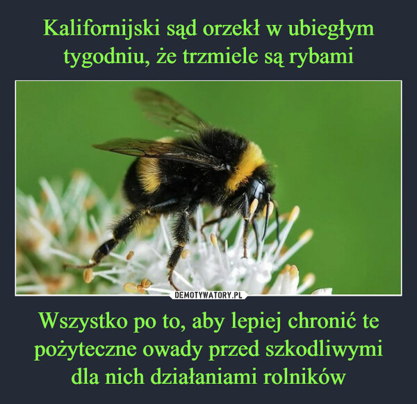 Wszystko po to, aby lepiej chronić te pożyteczne owady przed szkodliwymi dla nich działaniami rolników –  