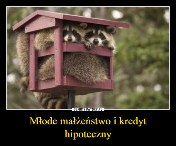 Młode małżeństwo i kredyt hipoteczny –  