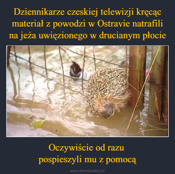 Oczywiście od razu pospieszyli mu z pomocą –  