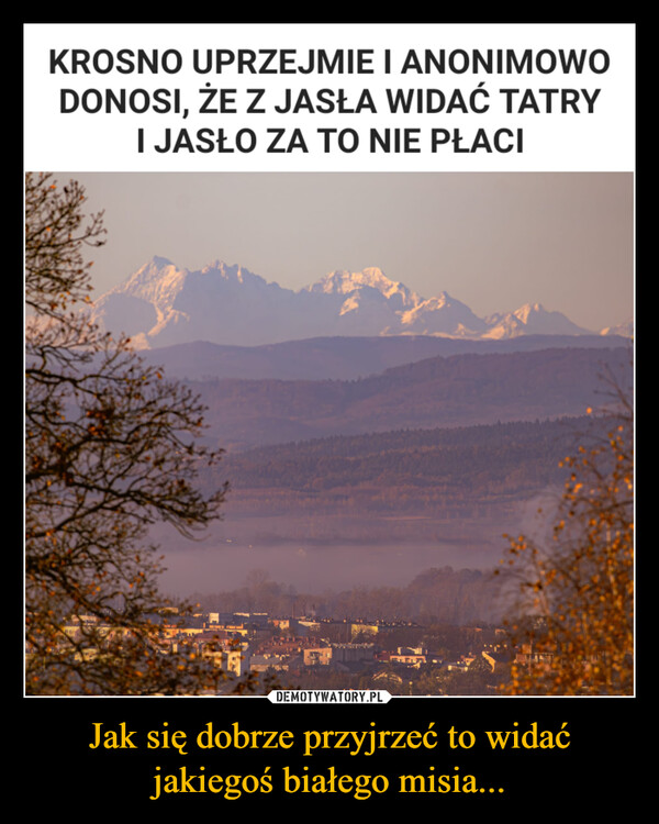 Jak się dobrze przyjrzeć to widać jakiegoś białego misia... –  KROSNO UPRZEJMIE I ANONIMOWODONOSI, ŻE Z JASŁA WIDAĆ TATRYI JASŁO ZA TO NIE PŁACIST DIREVE