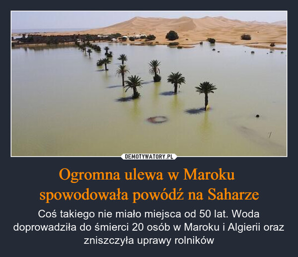 Ogromna ulewa w Maroku spowodowała powódź na Saharze – Coś takiego nie miało miejsca od 50 lat. Woda doprowadziła do śmierci 20 osób w Maroku i Algierii oraz zniszczyła uprawy rolników 