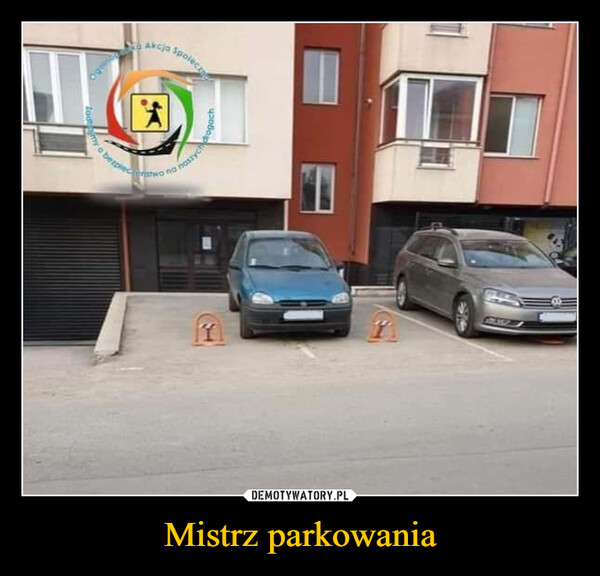 Mistrz parkowania –  ZodAkcja Spoleczmy o bezpdrogacherstwo na naszyc