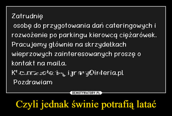 Czyli jednak świnie potrafią latać –  zatrudnię osobę do przygotowania dań cateringowych