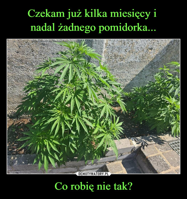 Co robię nie tak? –  