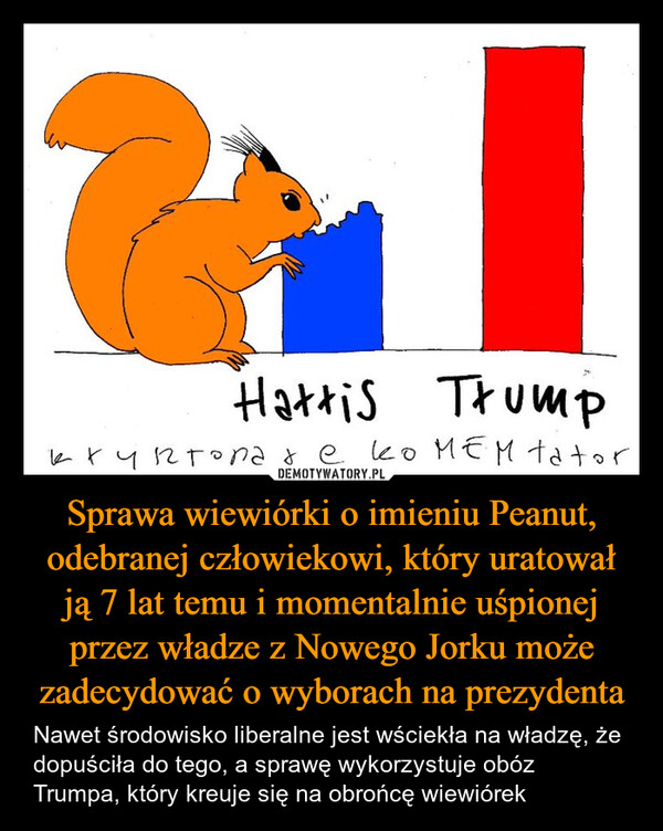 Sprawa wiewiórki o imieniu Peanut, odebranej człowiekowi, który uratował ją 7 lat temu i momentalnie uśpionej przez władze z Nowego Jorku może zadecydować o wyborach na prezydenta – Nawet środowisko liberalne jest wściekła na władzę, że dopuściła do tego, a sprawę wykorzystuje obóz Trumpa, który kreuje się na obrońcę wiewiórek Hattis Trumpкриптопате комем tator