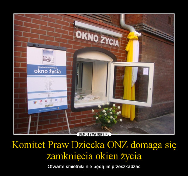 Komitet Praw Dziecka ONZ domaga się zamknięcia okien życia – Otwarte śmietniki nie będą im przeszkadzać 