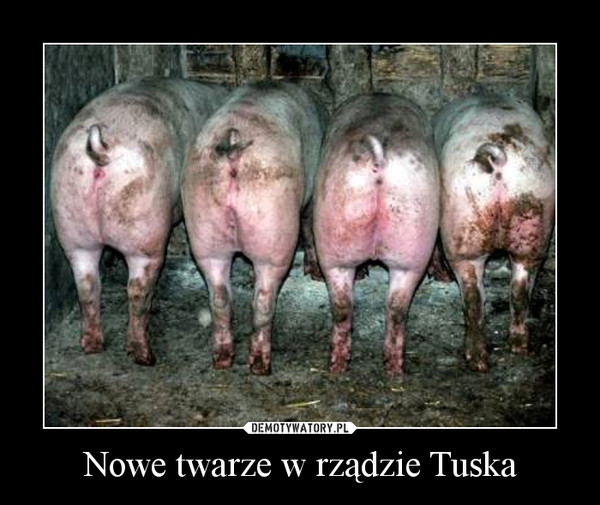 Nowe twarze w rządzie Tuska –  