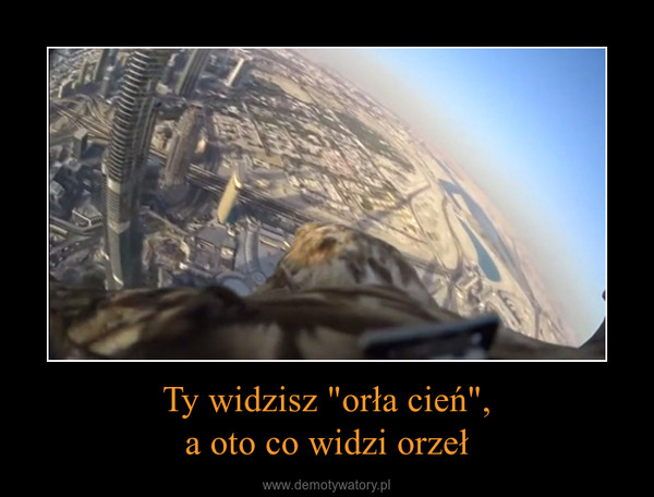 Ty widzisz "orła cień",a oto co widzi orzeł –  