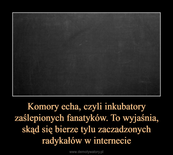 Komory echa, czyli inkubatory zaślepionych fanatyków. To wyjaśnia, skąd się bierze tylu zaczadzonych radykałów w internecie –  