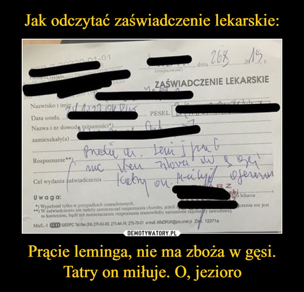 Prącie leminga, nie ma zboża w gęsi. Tatry on miłuje. O, jezioro –  