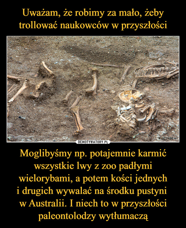 Moglibyśmy np. potajemnie karmić wszystkie lwy z zoo padłymi wielorybami, a potem kości jednychi drugich wywalać na środku pustyni w Australii. I niech to w przyszłości paleontolodzy wytłumaczą –  