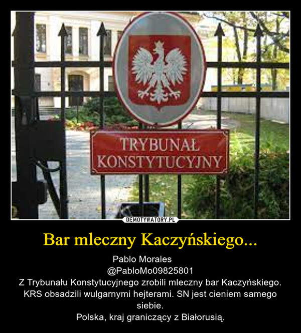 Bar mleczny Kaczyńskiego... – Pablo Morales  