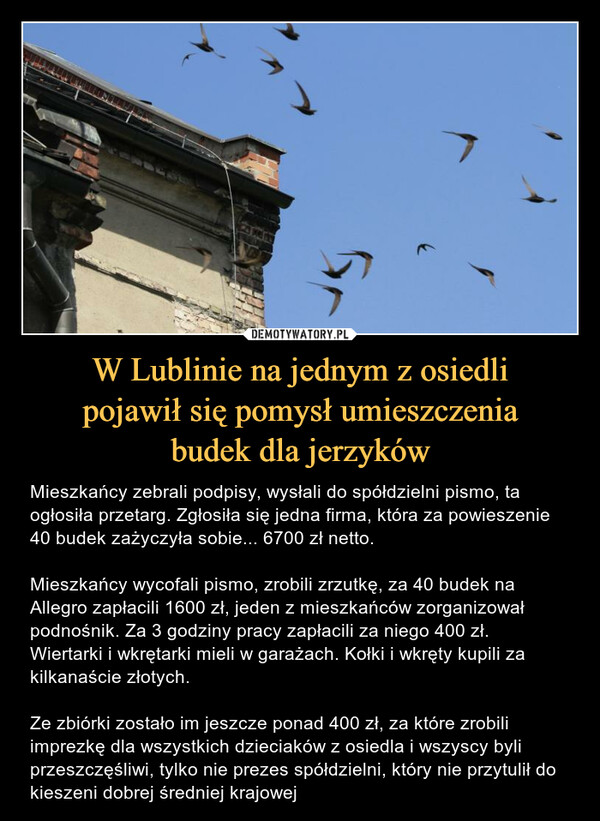 W Lublinie na jednym z osiedlipojawił się pomysł umieszczeniabudek dla jerzyków – Mieszkańcy zebrali podpisy, wysłali do spółdzielni pismo, ta ogłosiła przetarg. Zgłosiła się jedna firma, która za powieszenie 40 budek zażyczyła sobie... 6700 zł netto.Mieszkańcy wycofali pismo, zrobili zrzutkę, za 40 budek na Allegro zapłacili 1600 zł, jeden z mieszkańców zorganizował podnośnik. Za 3 godziny pracy zapłacili za niego 400 zł. Wiertarki i wkrętarki mieli w garażach. Kołki i wkręty kupili za kilkanaście złotych.Ze zbiórki zostało im jeszcze ponad 400 zł, za które zrobili imprezkę dla wszystkich dzieciaków z osiedla i wszyscy byli przeszczęśliwi, tylko nie prezes spółdzielni, który nie przytulił do kieszeni dobrej średniej krajowej 