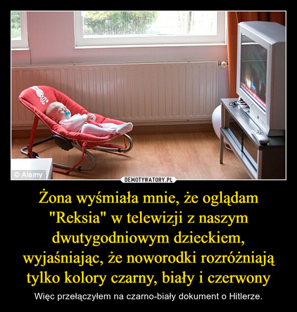 Żona wyśmiała mnie, że oglądam "Reksia" w telewizji z naszym dwutygodniowym dzieckiem, wyjaśniając, że noworodki rozróżniają tylko kolory czarny, biały i czerwony – Więc przełączyłem na czarno-biały dokument o Hitlerze. ⒸAlamy