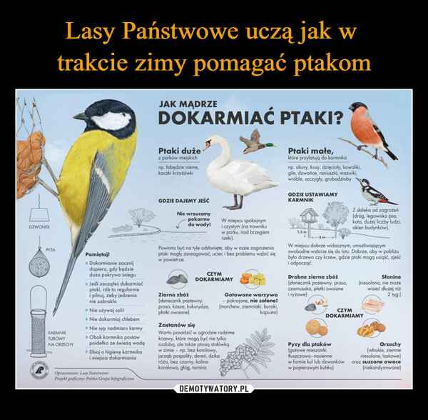  –  DZWONEKPYZAKARMNIKTUBOWYNA ORZECHYLAST NOWEPPamiętaj!■ Dokarmianie zacznijdopiero, gdy będzieduża pokrywa śnieguJeśli zacząłeś dokarmiaćptaki, rób to regularniei pilnuj, żeby jedzenianie zabrakło■ Nie używaj soli!= Nie dokarmiaj chlebem■ Nie syp nadmiaru karmy■ Obok karmnika postawpoidełko ze świeżą wodąDbaj o higienę karmnikai miejsca dokarmianiaOpracowanie: Lasy PaństwoweProjekt graficzny: Polska Grupa InfograficznaJAK MĄDRZEDOKARMIAĆ PTAKI?Ptaki dużez parków miejskichnp. łabędzie nieme,kaczki krzyżówkiGDZIE DAJEMY JEŚĆNie wrzucamypokarmudo wody!W miejscu spokojnymi czystym (na trawnikuw parku, nad brzegiemrzeki).Powinno być na tyle odsłonięte, aby w razie zagrożeniaptaki mogły zareagować, uciec i bez problemu wzbić sięw powietrze.CZYMDOKARMIAMYZiarna zbóż(słonecznik pastewny,proso, kasze, kukurydza,płatki owsiane)Gotowane warzywa- pokrojone, nie solone!(marchew, ziemniaki, buraki,kapusta)Zastanów sięWarto posadzić w ogrodzie rodzimekrzewy, które mogą być nie tylkoozdobą, ale także ptasią stołówkąw zimie - np. bez koralowy,jarząb pospolity, dereń, dzikaróża, bez czarny, kalinakoralowa, głóg, tarninaPtaki małe,które przylatują do karmnikanp. sikory, kosy, dzięcioły, kowaliki,gile, dzwońce, raniuszki, mazurki,wróble, szczygły, grubodziobyGDZIE USTAWIAMYKARMNIK1,5 m-2 mW miejscu dobrze widocznym, umożliwiającymswobodne wzbicie się do lotu. Dobrze, aby w pobliżubyło drzewo czy krzew, gdzie ptaki mogą usiąść, zjeśći odpocząć.Drobne ziarna zbóż(słonecznik pastewny, proso,czarnuszka, płatki owsianei ryżowe)Z daleka od zagrożeń(dróg, legowiska psa,kota, dużej liczby ludzi,okien budynków).Pyzy dla ptaków(gotowe mieszankiHłuszczowo-nasiennew formie kul lub dzwonkóww papierowym kubku)Słonina(niesolona, nie możewisieć dłużej niż2 tyg.)CZYMDOKARMIAMYOrzechy(włoskie, ziemneniesolone, laskowe)oraz suszone owoce(niekandyzowane)