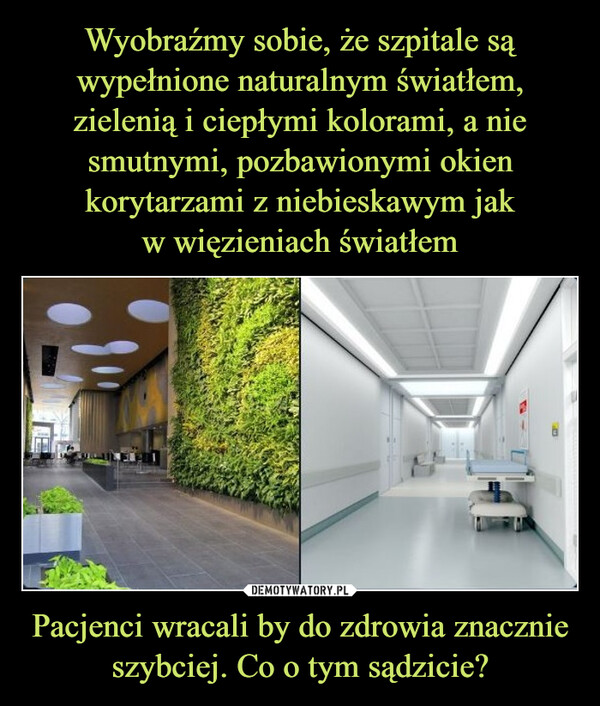 Pacjenci wracali by do zdrowia znacznie szybciej. Co o tym sądzicie? –  