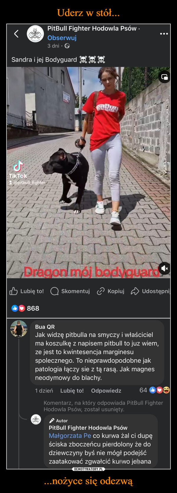 ...nożyce się odezwą –  PitBull Fighter Hodowla Psów.Obserwuj3 dniSandra i jej BodyguardلTikTok@pitbull fighterDragon mój bodyguardsLubię to! Skomentuj KopiujUdostępnij868Bua QRJak widzę pitbulla na smyczy i właścicielma koszulkę z napisem pitbull to juz wiem,ze jest to kwintesencja marginesuspolecznego. To nieprawdopodobne jakpatologia łączy się z tą rasą. Jak magnesneodymowy do blachy.1 dzień Lubię to! Odpowiedz64Komentarz, na który odpowiada PitBull FighterHodowla Psów, został usunięty.AutorPitBull Fighter Hodowla PsówMałgorzata Pe co kurwa żal ci dupęściska zboczeńcu pierdolony że dodziewczyny byś nie mógł podejśćzaatakować zgwałcić kurwo jebana