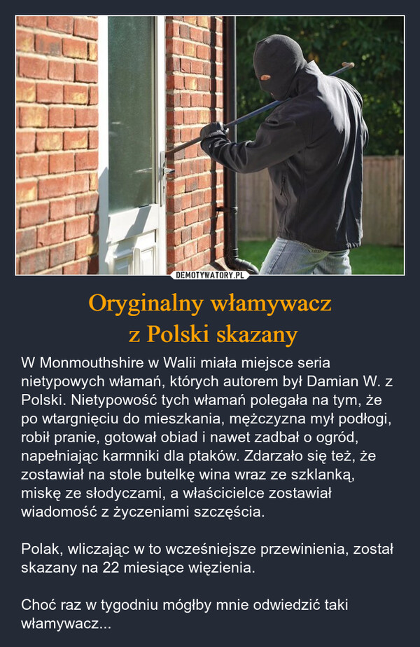 Oryginalny włamywacz z Polski skazany – W Monmouthshire w Walii miała miejsce seria nietypowych włamań, których autorem był Damian W. z Polski. Nietypowość tych włamań polegała na tym, że po wtargnięciu do mieszkania, mężczyzna mył podłogi, robił pranie, gotował obiad i nawet zadbał o ogród, napełniając karmniki dla ptaków. Zdarzało się też, że zostawiał na stole butelkę wina wraz ze szklanką, miskę ze słodyczami, a właścicielce zostawiał wiadomość z życzeniami szczęścia. Polak, wliczając w to wcześniejsze przewinienia, został skazany na 22 miesiące więzienia. Choć raz w tygodniu mógłby mnie odwiedzić taki włamywacz... 