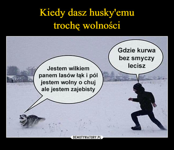  –  Jestem wilkiempanem lasów łąk i póljestem wolny o chujale jestem zajebistyGdzie kurwabez smyczylecisz