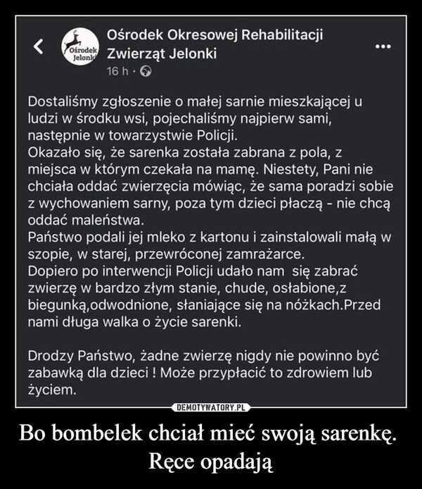 Bo bombelek chciał mieć swoją sarenkę. Ręce opadają –  Ośrodek Okresowej RehabilitacjiJelonka Zwierząt JelonkiOśrodek,16 h. →Dostaliśmy zgłoszenie o małej sarnie mieszkającej uludzi w środku wsi, pojechaliśmy najpierw sami,następnie w towarzystwie Policji.Okazało się, że sarenka została zabrana z pola, zmiejsca w którym czekała na mamę. Niestety, Pani niechciała oddać zwierzęcia mówiąc, że sama poradzi sobiez wychowaniem sarny, poza tym dzieci płaczą - nie chcąoddać maleństwa.Państwo podali jej mleko z kartonu i zainstalowali małą wszopie, w starej, przewróconej zamrażarce.Dopiero po interwencji Policji udało nam się zabraćzwierzę w bardzo złym stanie, chude, osłabione,zbiegunką, odwodnione, słaniające się na nóżkach. Przednami długa walka o życie sarenki.Drodzy Państwo, żadne zwierzę nigdy nie powinno byćzabawką dla dzieci ! Może przypłacić to zdrowiem lubżyciem.