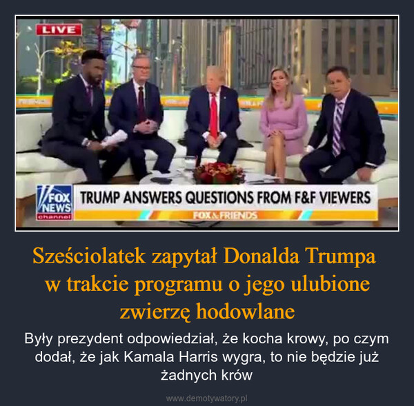 Sześciolatek zapytał Donalda Trumpa w trakcie programu o jego ulubione zwierzę hodowlane – Były prezydent odpowiedział, że kocha krowy, po czym dodał, że jak Kamala Harris wygra, to nie będzie już żadnych krów LIVEFOX TRUMP ANSWERS QUESTIONS FROM F&F VIEWERSNEWSchannelFOX & FRIENDS