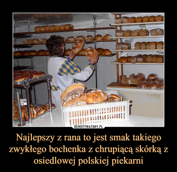 Najlepszy z rana to jest smak takiego zwykłego bochenka z chrupiącą skórką z osiedlowej polskiej piekarni –  