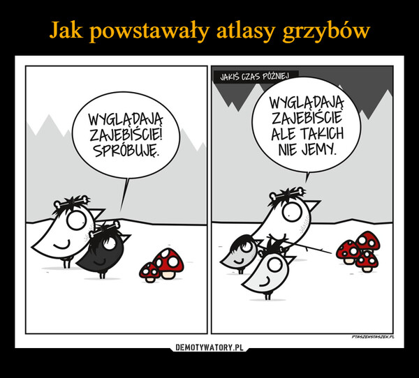  –  WYGLĄDAJĄZAJEBIŚCIE!SPRÓBUJĘ.JAKIŚ CZAS PÓŹNIEJWYGLĄDAJĄZAJEBIŚCIEALE TAKICHNIE JEMY.PTASZEKSTASZEK.PL