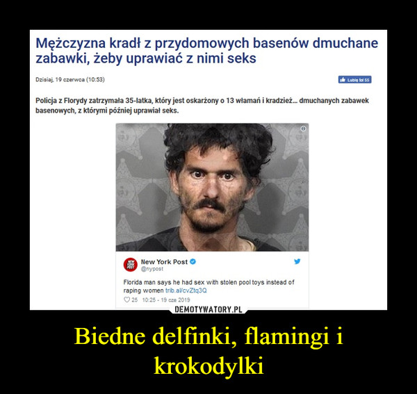 Biedne delfinki, flamingi i krokodylki –  Mężczyzna kradł z przydomowych basenów dmuchane zabawki, żeby uprawiać z nimi seks Dzisiaj. 19 czerwca (10:53) Policja z Florydy zatrzymała 35-latka, który jest oskarżony o 13 włamań i kradzież... dmuchanych zabawek basenowych, z którymi później uprawiał seks.