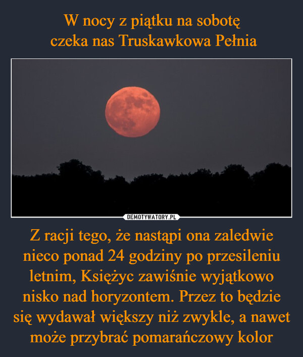 Z racji tego, że nastąpi ona zaledwie nieco ponad 24 godziny po przesileniu letnim, Księżyc zawiśnie wyjątkowo nisko nad horyzontem. Przez to będzie się wydawał większy niż zwykle, a nawet może przybrać pomarańczowy kolor –  