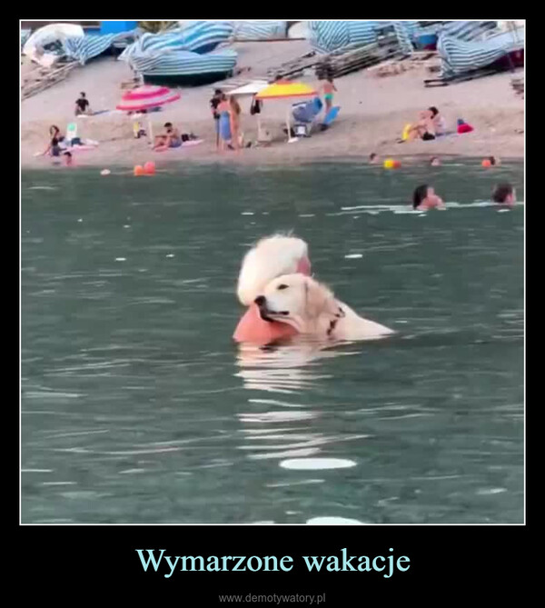 Wymarzone wakacje –  