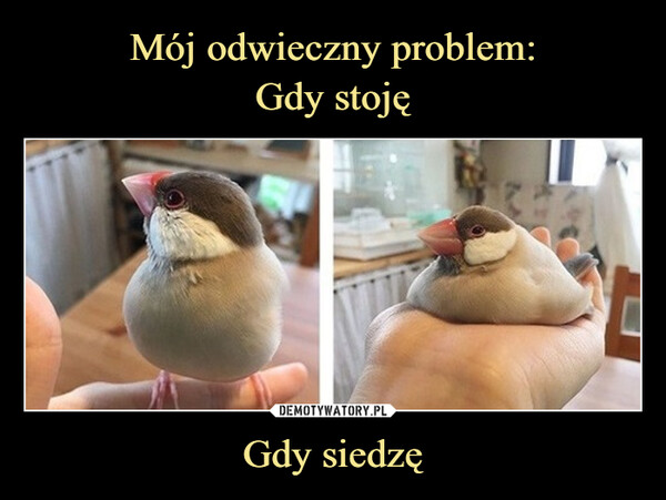 Gdy siedzę –  