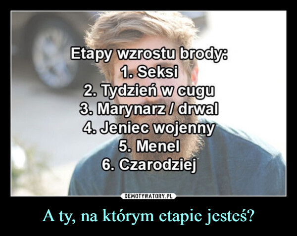 A ty, na którym etapie jesteś? –  Etapy wzrostu brody:1. Seksi2. Tydzień w cugu3. Marynarz / drwal4. Jeniec wojenny5. Menel6. Czarodziej