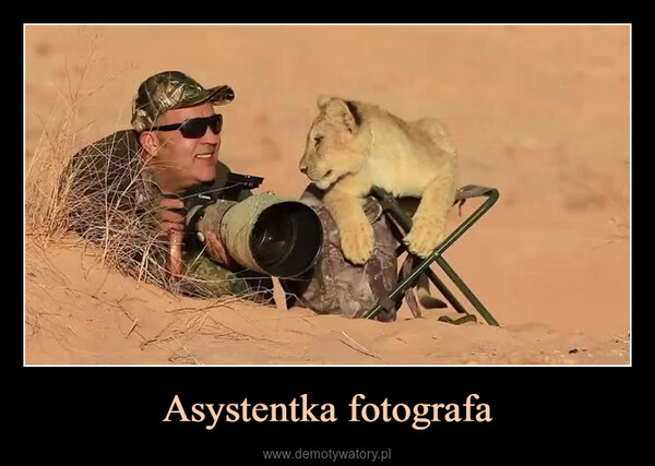 Asystentka fotografa –  双