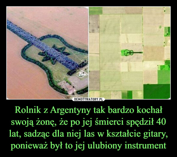 Rolnik z Argentyny tak bardzo kochał swoją żonę, że po jej śmierci spędził 40 lat, sadząc dla niej las w kształcie gitary, ponieważ był to jej ulubiony instrument –  