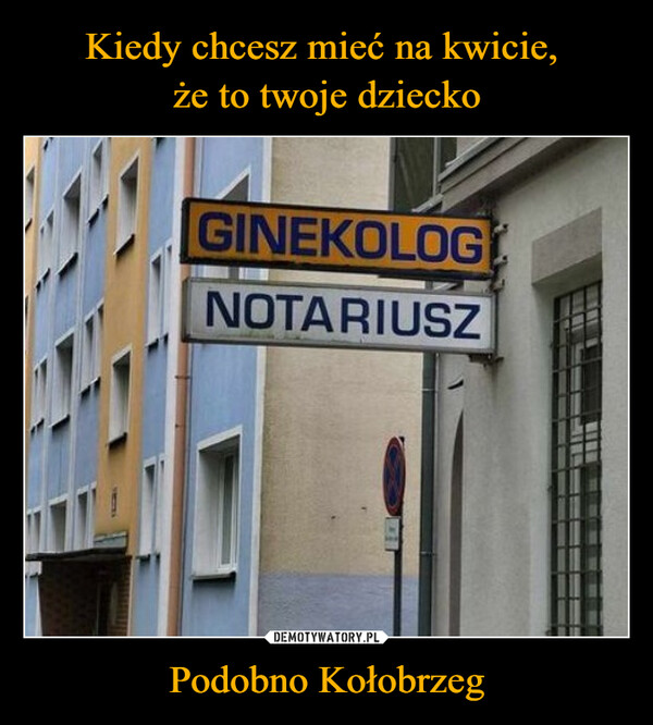 Podobno Kołobrzeg –  GINEKOLOGNOTARIUSZ