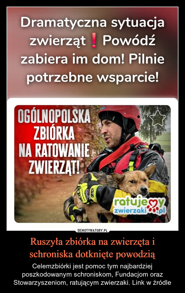 Ruszyła zbiórka na zwierzęta i schroniska dotknięte powodzią – Celemzbiórki jest pomoc tym najbardziej poszkodowanym schroniskom, Fundacjom oraz Stowarzyszeniom, ratującym zwierzaki. Link w źródle Dramatyczna sytuacjazwierząt Powódźzabiera im dom! Pilniepotrzebne wsparcie!OGÓLNOPOLSKAZBIÓRKANA RATOWANIEZWIERZĄT!ratujemyzwierzaki.pl