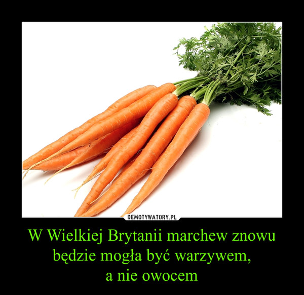 W Wielkiej Brytanii marchew znowu będzie mogła być warzywem,a nie owocem –  