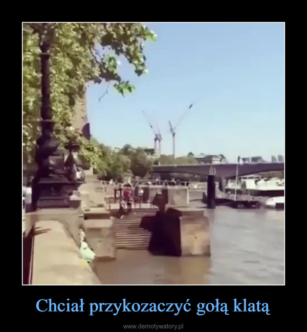 Chciał przykozaczyć gołą klatą –  