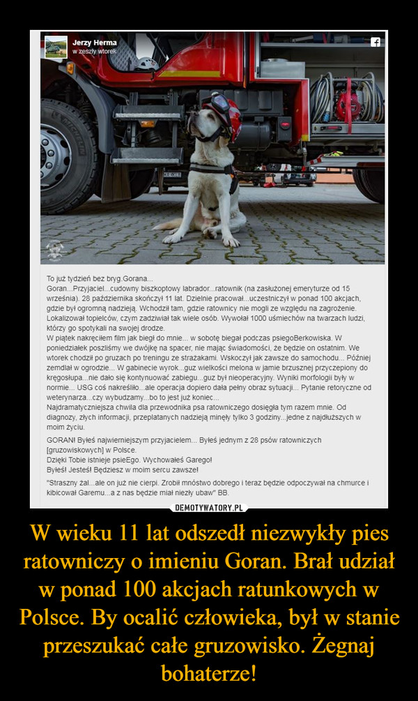 W wieku 11 lat odszedł niezwykły pies ratowniczy o imieniu Goran. Brał udział w ponad 100 akcjach ratunkowych w Polsce. By ocalić człowieka, był w stanie przeszukać całe gruzowisko. Żegnaj bohaterze! –  To już tydzień bez bryg.Gorana... Goran...Przyjaciel...cudowny biszkoptowy labrador...ratownik (na zasłużonej emeryturze od 15 września). 28 października skończył 11 lat. Dzielnie pracował...uczestniczyl w ponad 100 akcjach, gdzie był ogromną nadzieją. Wchodził tam, gdzie ratownicy nie mogli ze względu na zagrożenie. Lokalizował topielców, czym zadziwiał tak wiele osób. Wywołał 1000 uśmiechów na twarzach ludzi, którzy go spotykali na swojej drodze. W piątek nakręciłem film jak biegł do mnie... w sobotę biegał podczas psiegoBerkowiska. W poniedziałek poszliśmy we dwójkę na spacer, nie mając świadomości, że będzie on ostatnim. We wtorek chodził po gruzach po treningu ze strażakami. Wskoczył jak zawsze do samochodu... Później zemdlał w ogrodzie... W gabinecie wyrok...guz wielkości melona w jamie brzusznej przyczepiony do kręgosłupa...nie dało się kontynuować zabiegu...guz był nieoperacyjny. Wyniki morfologii były w normie... USG coś nakreśliło...ale operacja dopiero dała pełny obraz sytuacji... Pytanie retoryczne od weterynarza...czy wybudzamy...bo to jest już koniec... Najdramatyczniejsza chwila dla przewodnika psa ratowniczego dosięgła tym razem mnie. Od diagnozy, złych informacji, przeplatanych nadzieją minęły tylko 3 godziny...jedne z najdłuższych w moim życiu. GORAN! Byłeś najwiemiejszym przyjacielem... Byłeś jednym z 28 psów ratowniczych [gruzowiskowychj w Polsce. Dzięki Tobie istnieje psieEgo. Wychowałeś Garego! Byłeś! Jesteś! Będziesz w moim sercu zawsze! "Straszny żal...ale on już nie cierpi. Zrobił mnóstwo dobrego i teraz będzie odpoczywał na chmurce i kibicował Garemu...a z nas będzie miał niezły ubaw"