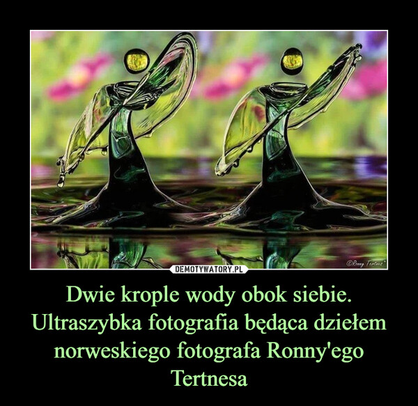 Dwie krople wody obok siebie. Ultraszybka fotografia będąca dziełem norweskiego fotografa Ronny'ego Tertnesa –  