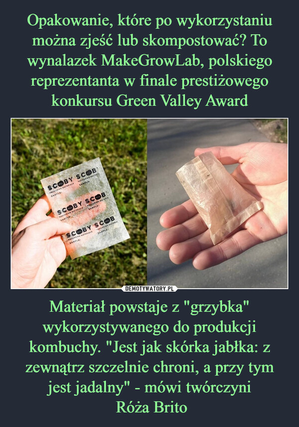 Materiał powstaje z "grzybka" wykorzystywanego do produkcji kombuchy. "Jest jak skórka jabłka: z zewnątrz szczelnie chroni, a przy tym jest jadalny" - mówi twórczyni Róża Brito –  